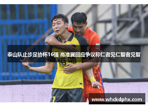 泰山队止步足协杯16强 高准翼回应争议称仁者见仁智者见智