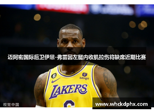迈阿密国际后卫伊恩-弗雷因左腿内收肌拉伤将缺席近期比赛
