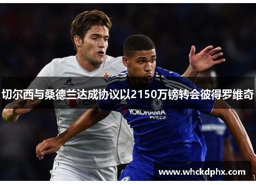 切尔西与桑德兰达成协议以2150万镑转会彼得罗维奇