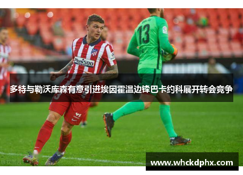 多特与勒沃库森有意引进埃因霍温边锋巴卡约科展开转会竞争